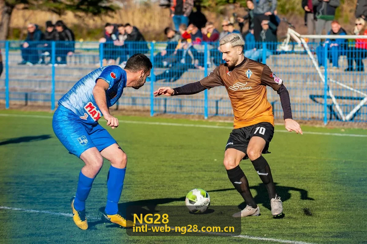NG28团队协作攻略专题封面